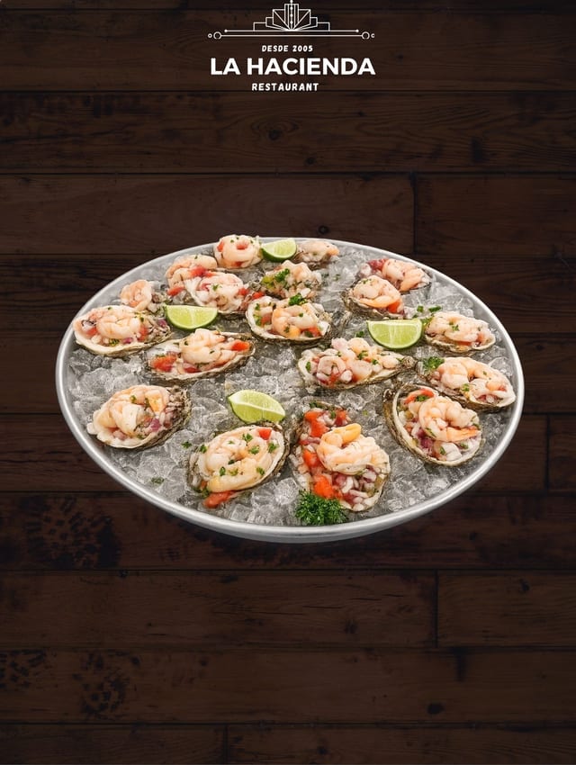 Oysters 1624.
